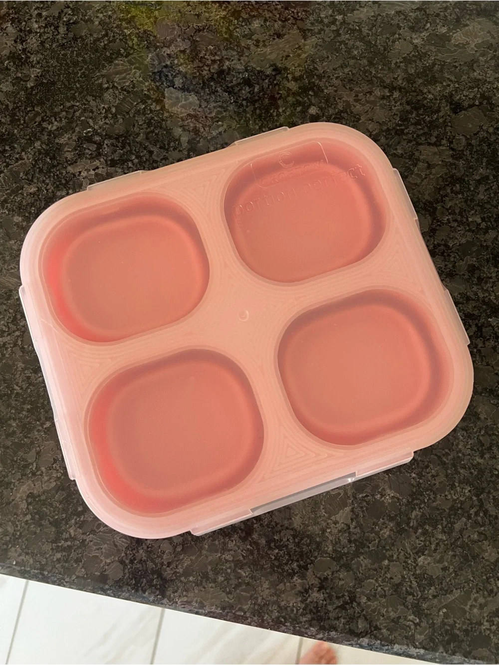Pink Silicone 4-Compartment Snack Box